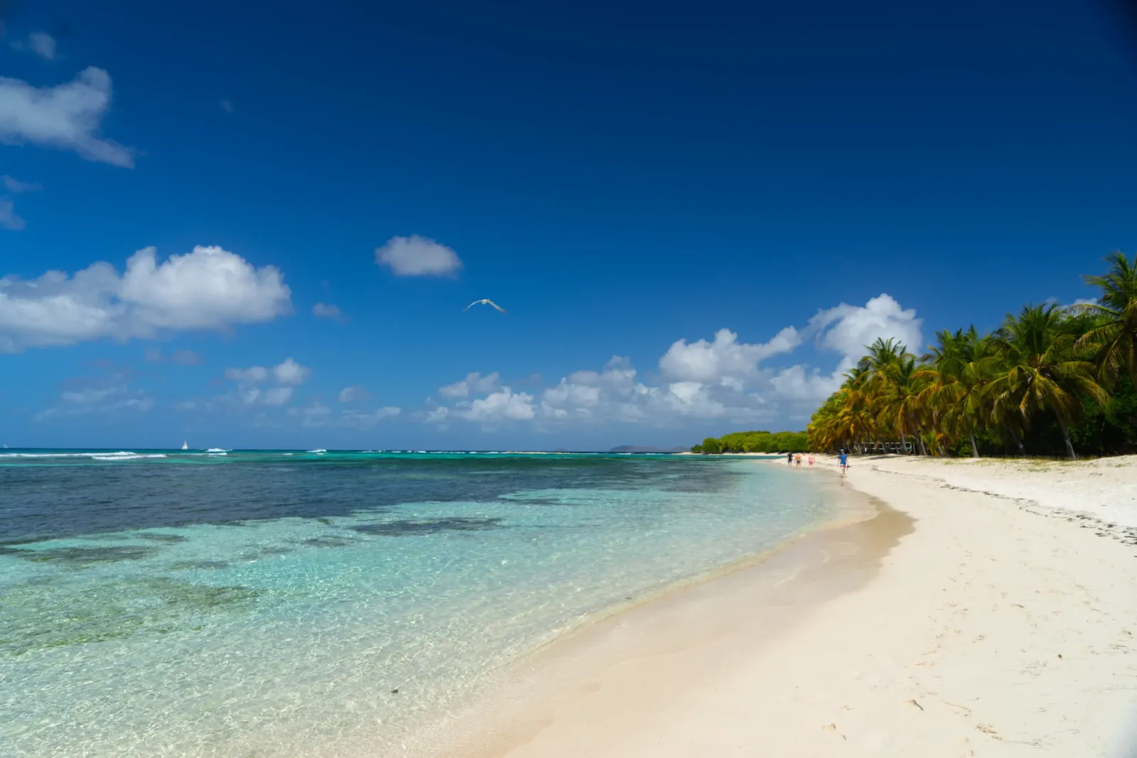 Caribisch eilandhoppen vanaf Martinique
