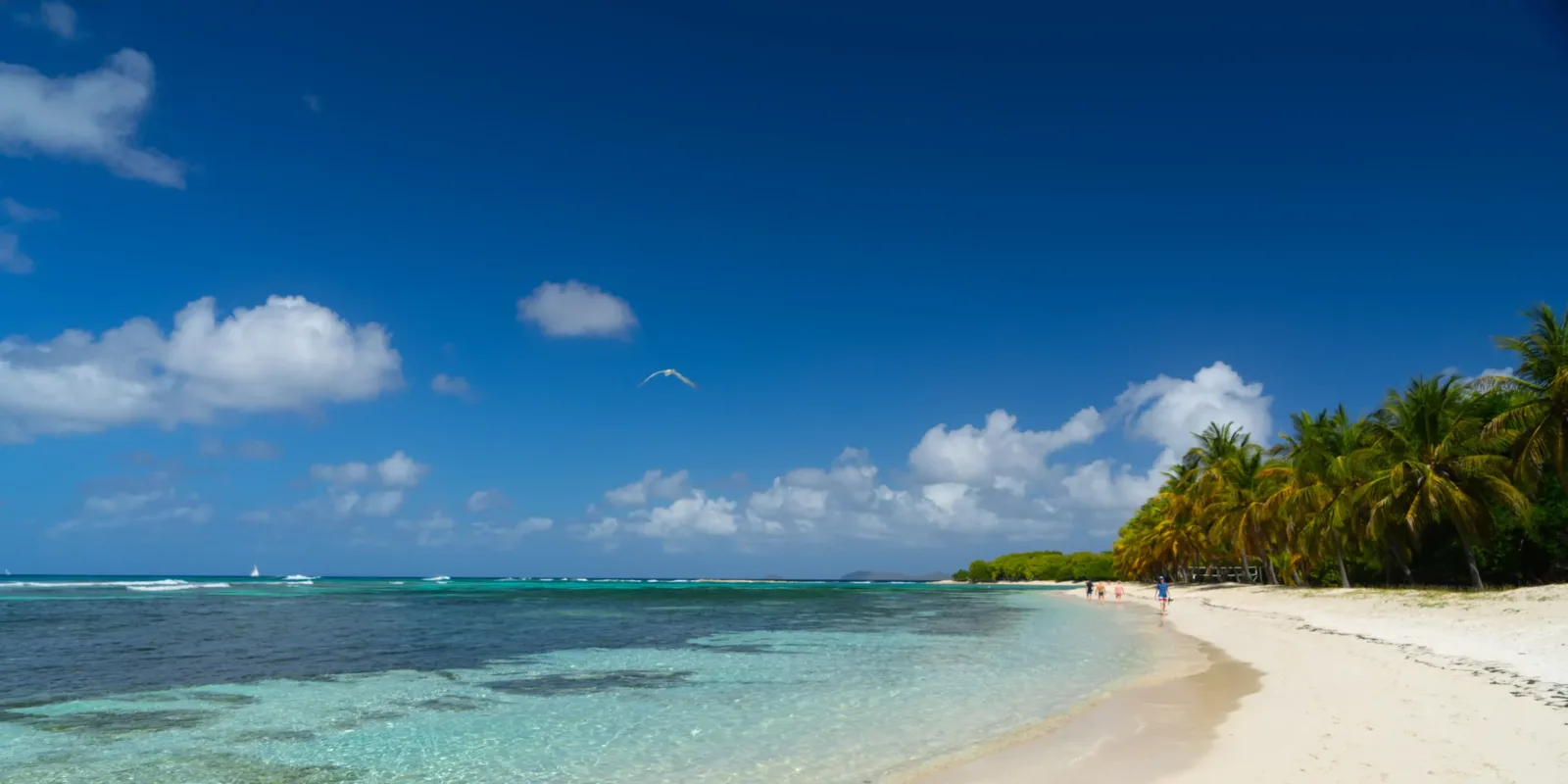Segelreise BVIs nach St. Martin