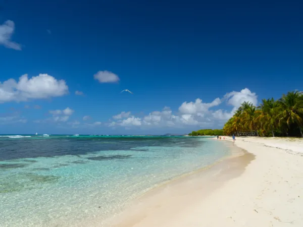 Eilandhoppen in de Grenadines