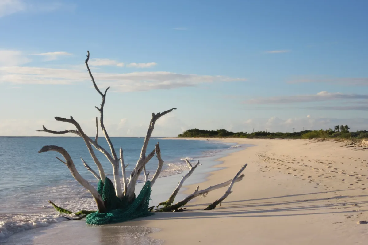 Anegada
