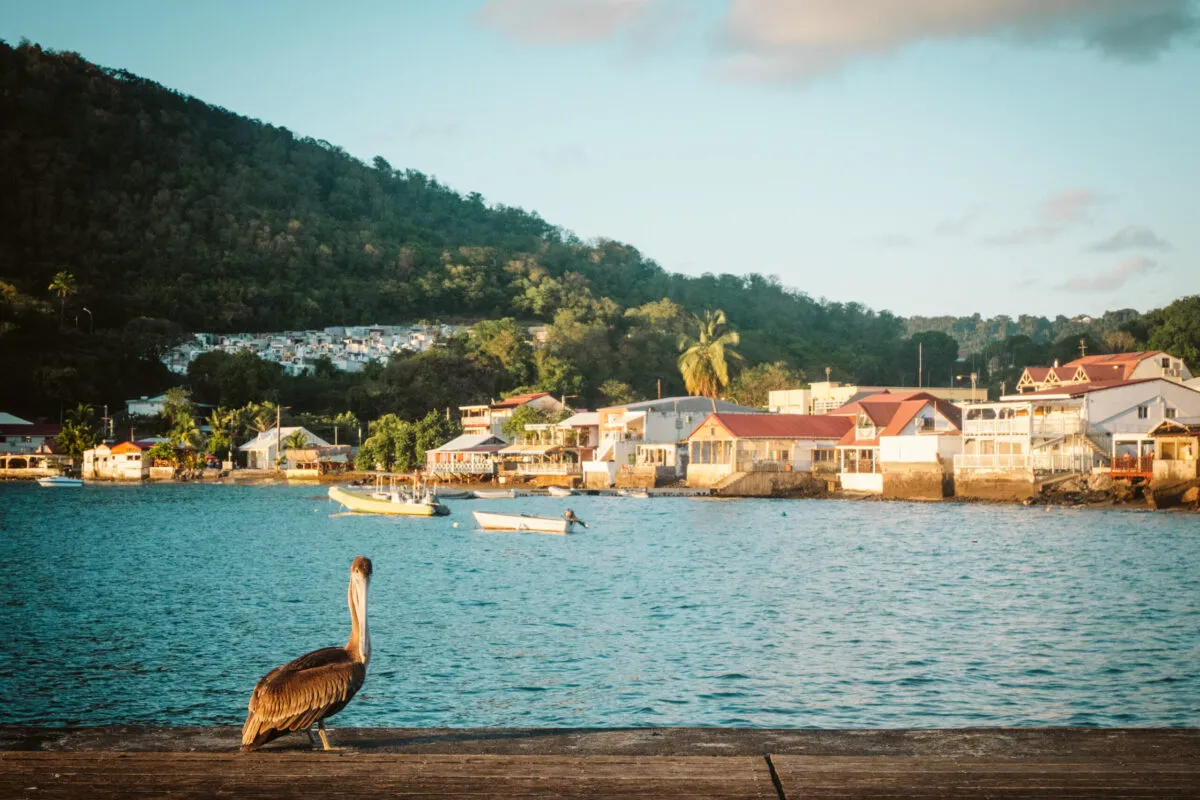 Martinique – Antigua von swedischer Journalistin Madeleine Lithvall