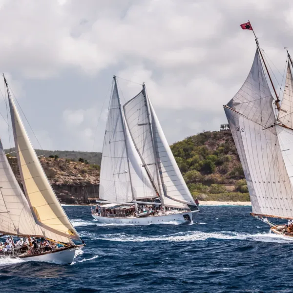 Regatta-Segelreise